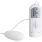 White Nights Controller with Bullet Vibrator