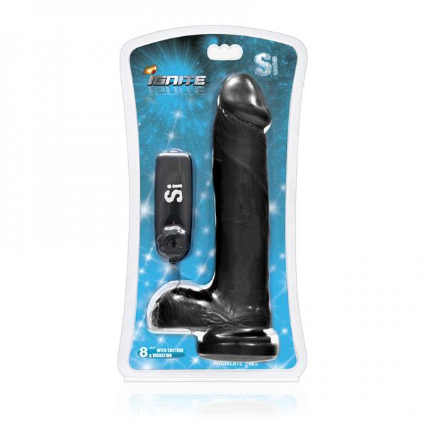 8 inches Cock Balls, Vibrating Egg & Suction Cup Black